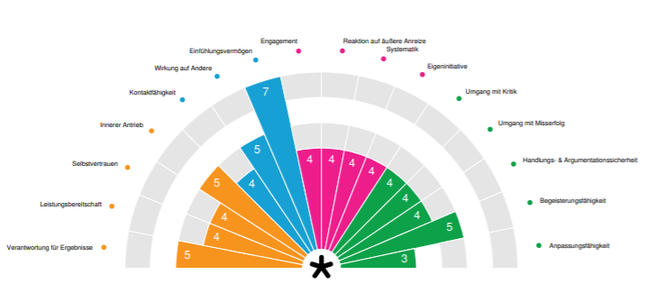 Musteransicht DNLA Jobstarter - AZUBI - das Entwicklungsinstrument, das die YPA Young Pro Academy bevrzugt einsetzt.