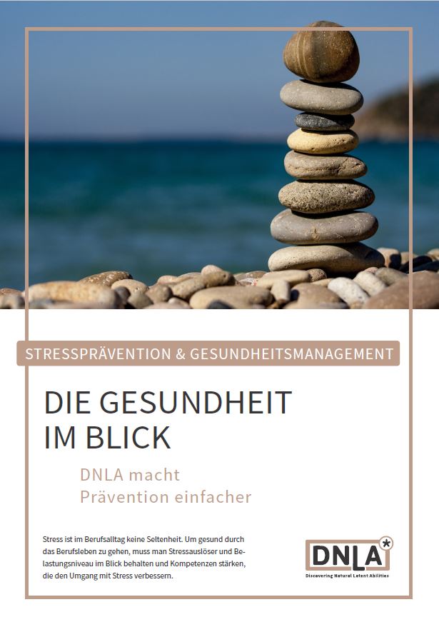 Kurz zusammengefasst: Die Anwendungen von DNLA MSS in den Bereichen Stressprävention und Gesundheitsmanagement.