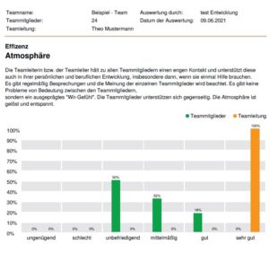 DNLA Teamanalyse Mustergrafik