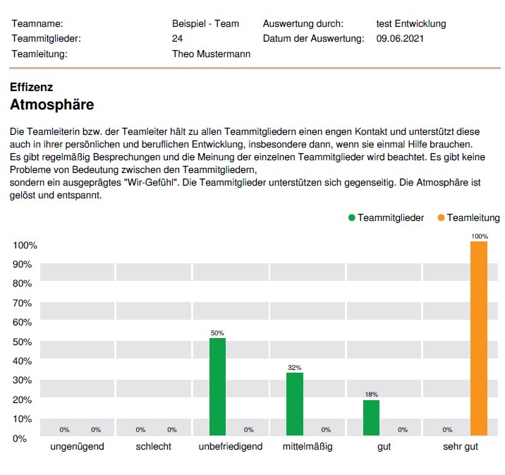 DNLA Teamanalyse Mustergrafik