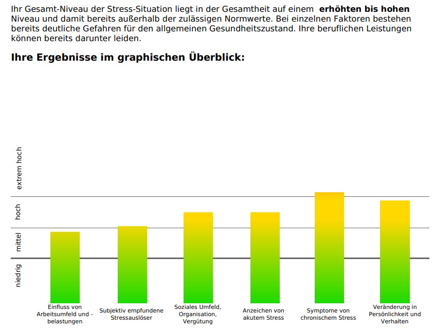 Beispiel für ein weniger bekanntes DNLA-Verfahren aus unserem Toolportfolio: DNLA MSS - Managerial Stress Survey.