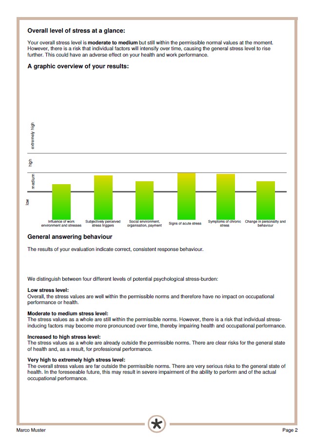 DNLA MSS - Managerial Stress Survey - sample report.