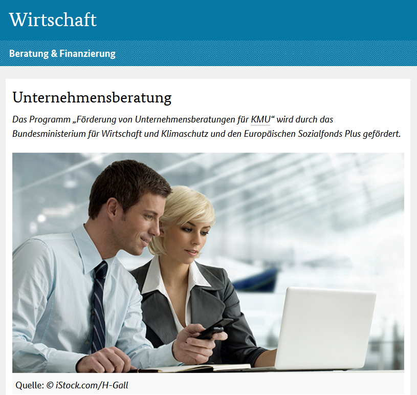 Grafik: Screenshot von der Webseite des Bundeswirtschaftsministeriums, https://www.bafa.de/DE/Wirtschaft/Beratung_Finanzierung/Unternehmensberatung/unternehmensberatung_node.html