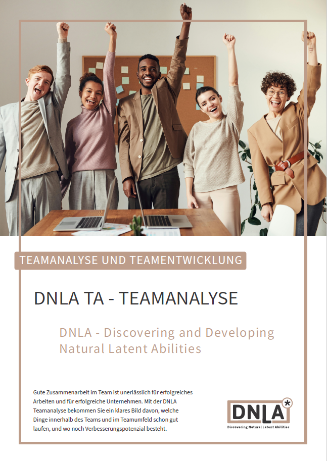 Factsheet zum DNLA-Tool DNLA TA (Teamanalyse).