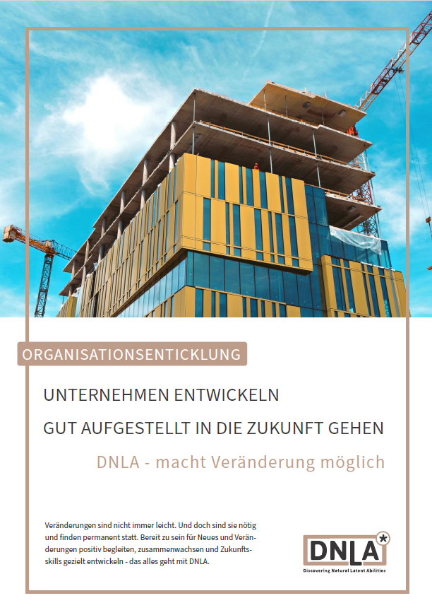 Neues Factsheet von DNLA zum Thema "Organisationsentwicklung".
